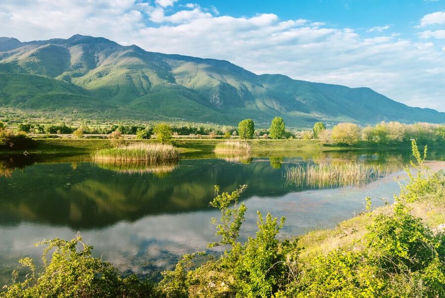 From Thessaloniki: Private Day Trip to Kerkini Lake - Vironia village lunch: traditional tavern food with mountain views