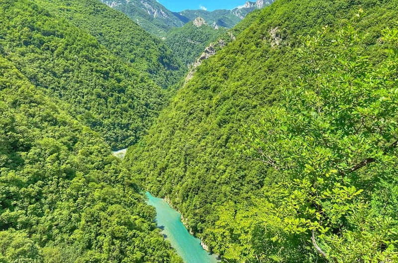 From Tirana/Shkodra: Komani Lake and Shala River Day Trip - What lunch and time by the water really mean for your budget