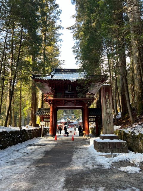 From Tokyo: Fully Customizable Private Nikko Tour - Should You Book This Nikko Tour?