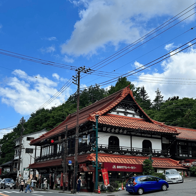 From Tokyo: Fully Customizable Private Nikko Tour - Who Should Book This Nikko Tour (and Who Might Not)