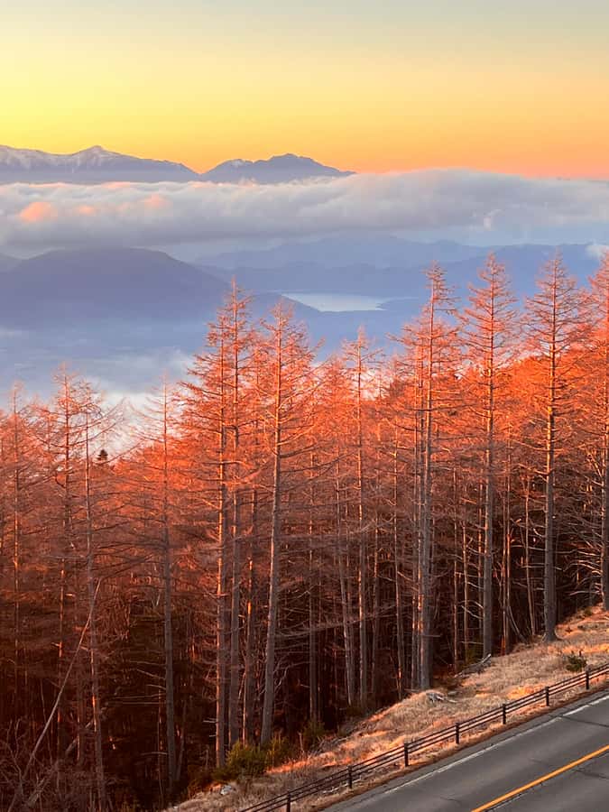 From Tokyo: Mount Fuji and Hakone Private Day Trip - Fuji Subaru 5th Station: the altitude payoff (and the summer rule)