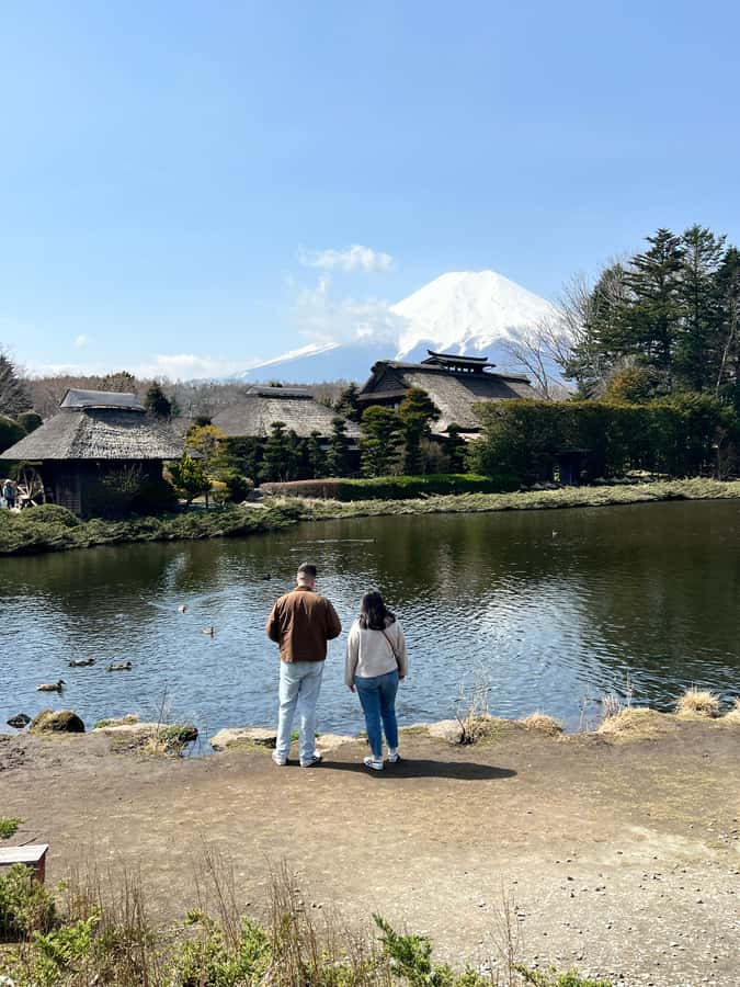 From Tokyo: Mount Fuji and Hakone Private Day Trip - Chureito Pagoda and Fuji shrines: where Fuji looks best in real life