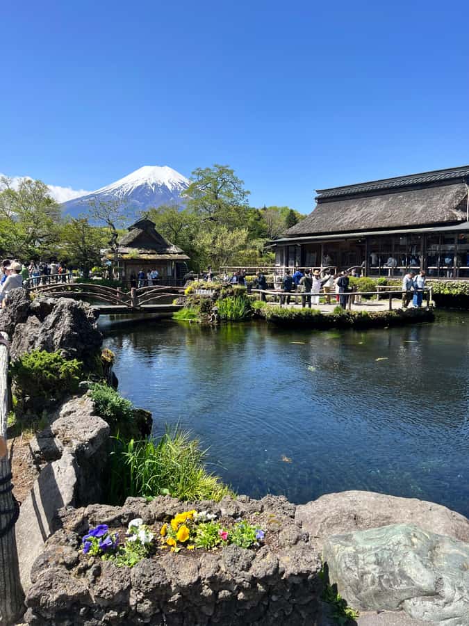 From Tokyo: Mount Fuji and Hakone Private Day Trip - Owakudani and the sulfur valley: the part that feels most Hakone