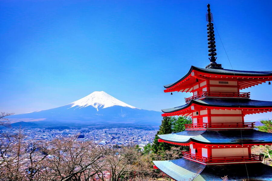From Tokyo: Mount Fuji and Hakone Private Day Trip - Lake Ashi and the optional pirate cruise: the slow, scenic payoff