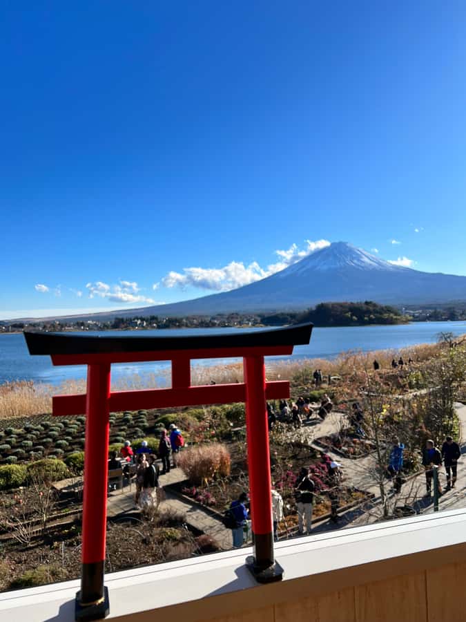 From Tokyo: Mount Fuji and Hakone Private Day Trip - Hakone Ropeway and cable car: trading effort for views