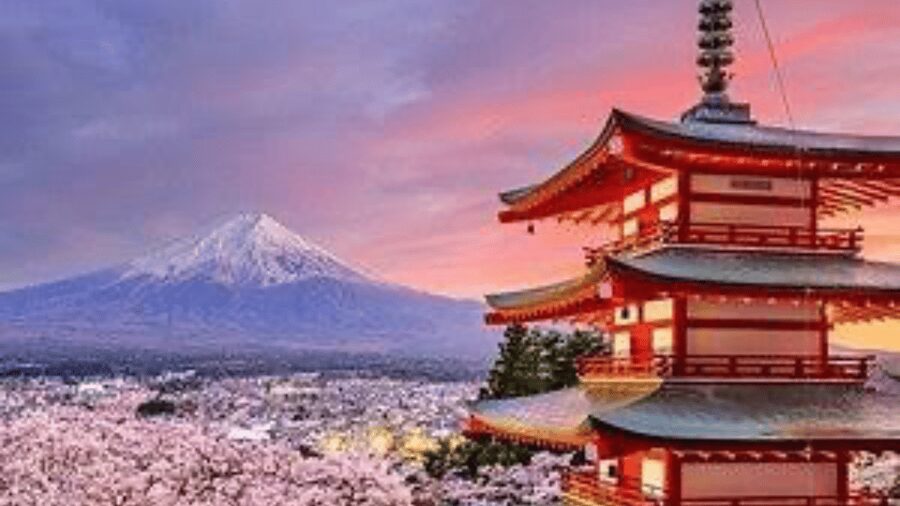 From Tokyo: Mount Fuji And Hakone Private Full Day Trip - Key things I’d circle before you go