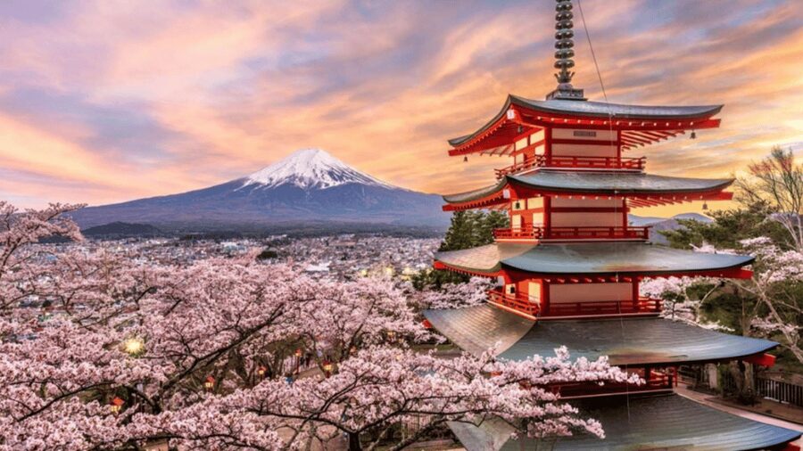 From Tokyo: Mount Fuji And Hakone Private Full Day Trip - Fuji and Hakone in a Single Private Day, Without the Stampede