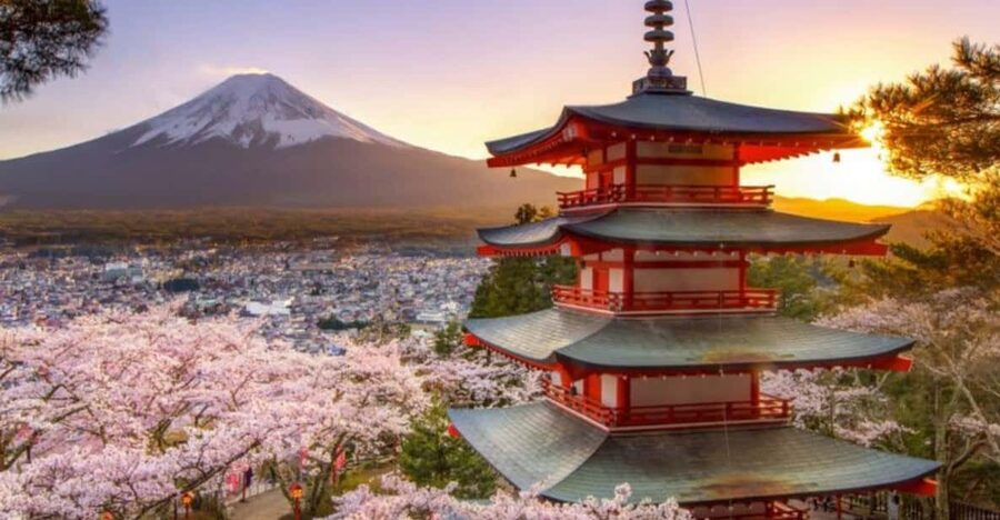 From Tokyo: Mount Fuji And Hakone Private Full Day Trip - Pickup, Timing, and Road Realities Between Tokyo and the Fuji Area