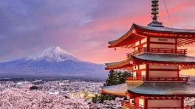 From Tokyo: Mount Fuji And Hakone Private Full Day Trip - Price and Value: Why $408 Can Make Sense for Families or Small Groups