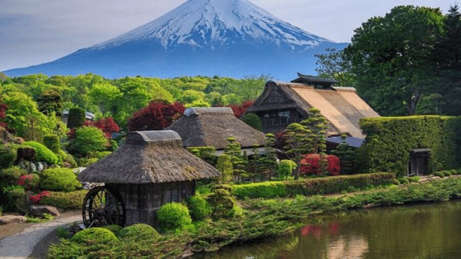 From Tokyo: Mount Fuji And Hakone Private Full Day Trip - The Minivan Setup: Private Comfort Plus the Freedom to Change Your Plans