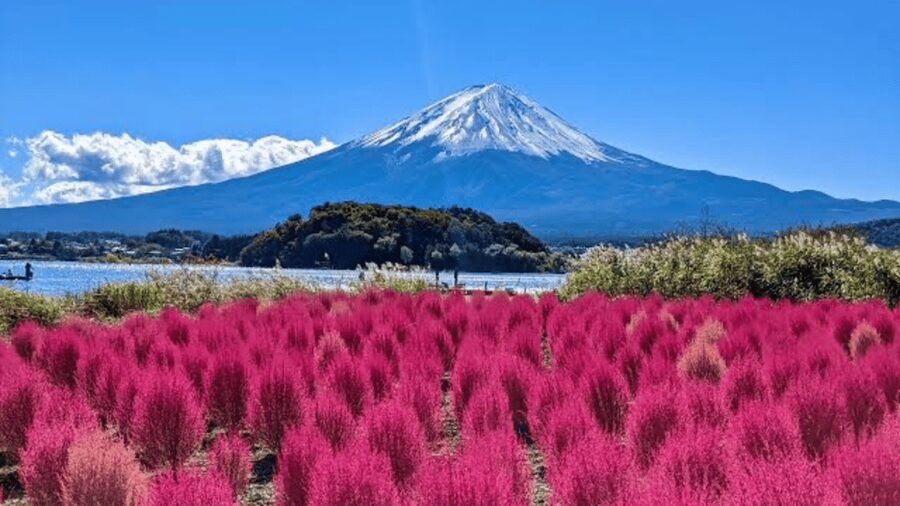 From Tokyo: Mount Fuji And Hakone Private Full Day Trip - Morning Beats and 5th Station Reality Checks