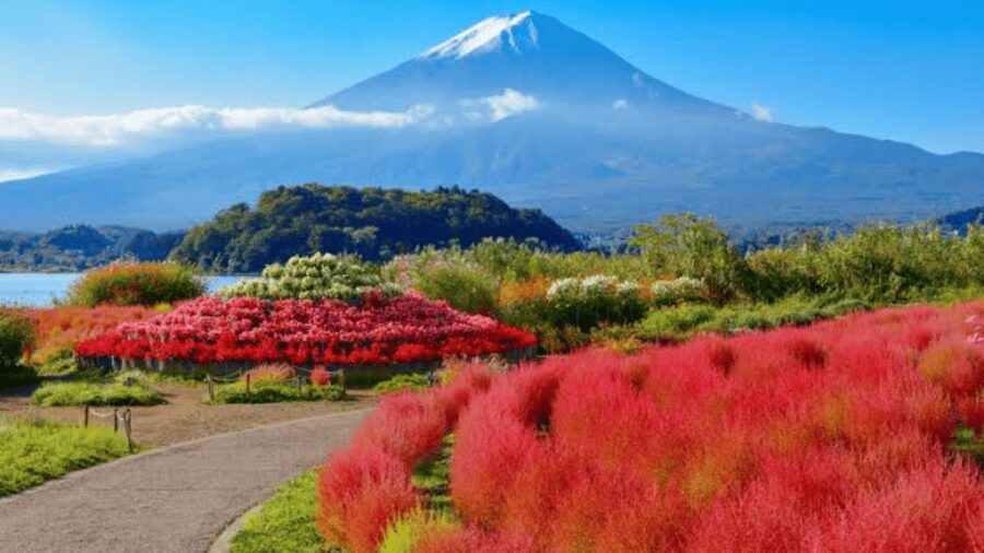 From Tokyo: Mount Fuji And Hakone Private Full Day Trip - Shrine Culture at Kitaguchi-hongu Fuji Sengen Shrine