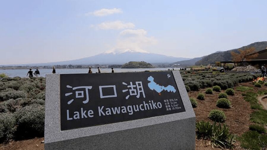 From Tokyo: Mount Fuji And Hakone Private Full Day Trip - Lake Kawaguchi and Oishi Park: The Fuji Five Lakes Two-Step