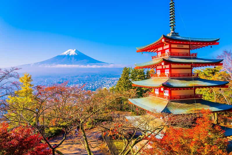 From Tokyo: Mount Fuji Customizable Private Day Tour - Key things to plan around
