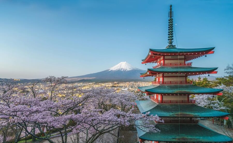 From Tokyo: Mount Fuji Customizable Private Day Tour - Why a private Mount Fuji day tour is worth paying for
