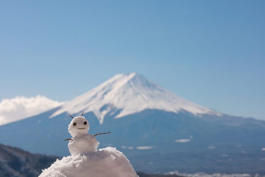 From Tokyo: Mount Fuji Customizable Private Day Tour - The Tokyo pickup game: timing, traffic, and where you start