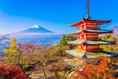 From Tokyo: Mount Fuji Customizable Private Day Tour - Price and what it covers for up to 6 people