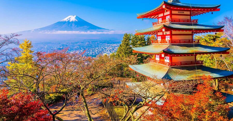From Tokyo: Mount Fuji Customizable Private Day Tour - Lake Kawaguchiko: where the Fuji reflections happen