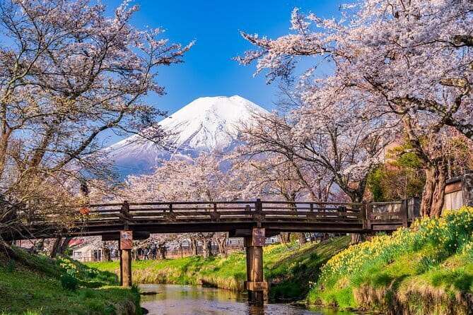 From Tokyo: Mount Fuji Sightseeing One Day Trip - Key highlights you’ll actually feel during the day