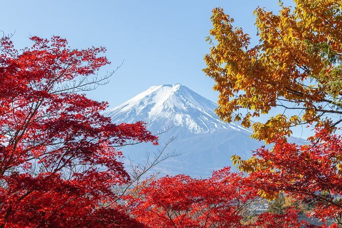 From Tokyo: Mount Fuji Sightseeing One Day Trip - Price and logistics: what $58.90 buys you