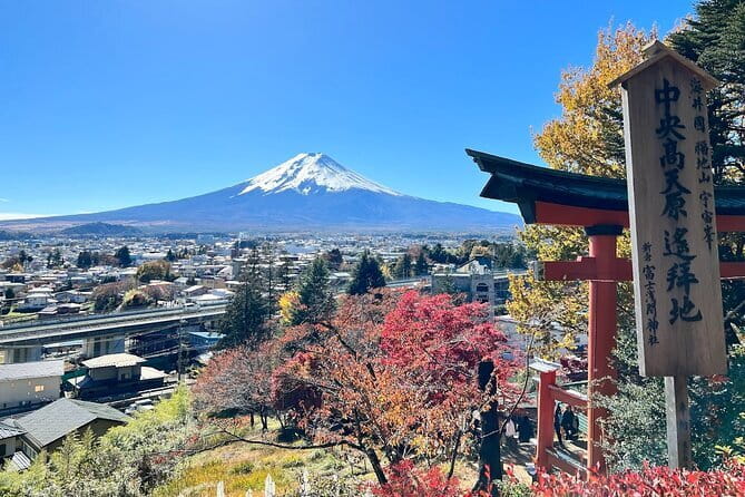 From Tokyo: Mount Fuji Sightseeing One Day Trip - Lake Kawaguchiko and Oishi Park: where Fuji meets water