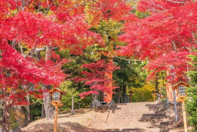 From Tokyo: Mount Fuji Sightseeing One Day Trip - Chureito Pagoda and Arakura Shrine: the classic start (and the quick ritual)