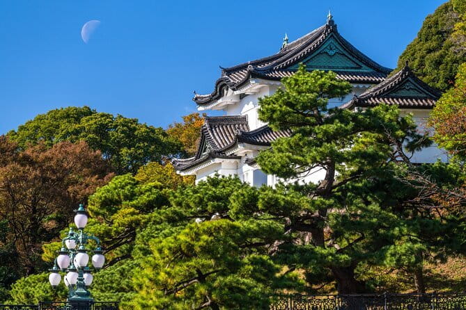 From Tokyo: Mount Fuji Sightseeing One Day Trip - What the 10-hour day feels like: crowds, timing, and comfort