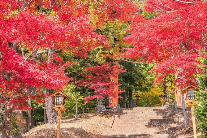 From Tokyo: Mount Fuji Sightseeing One Day Trip - Chureito Pagoda and Arakura Shrine: the classic start (and the quick ritual)
