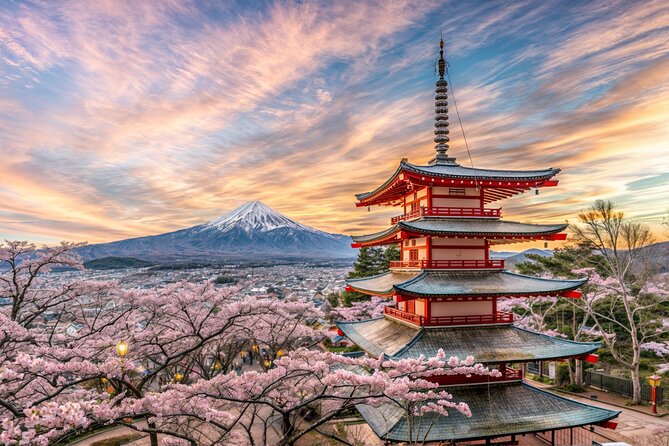 From Tokyo: Mt Fuji and Hakone Private Day Trip - Key things that make this day trip work