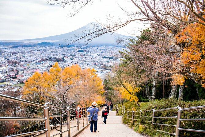 From Tokyo: Mt Fuji and Hakone Private Day Trip - Timing risks: when the day doesn’t go as planned