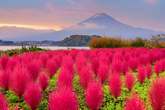 From Tokyo: Mt Fuji and Hakone Private Day Trip - Who this tour suits best