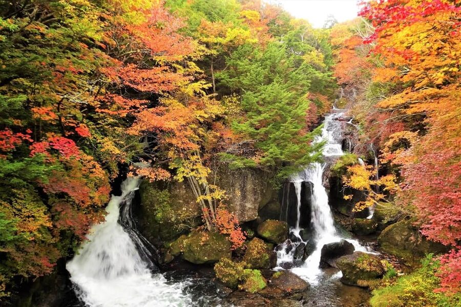 From Tokyo: Nikko World Heritage Site Private Full-Day Trip - Leaving Tokyo Without the Usual Headache: Pickup, Ride, Pace