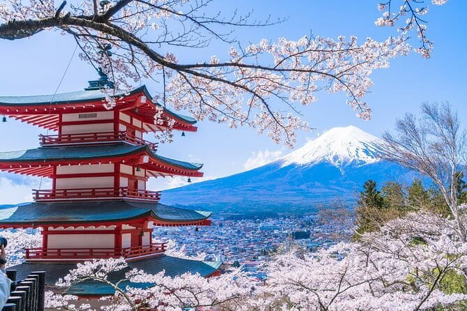From Tokyo: Top 5 Scenic Spots of Mount Fuji Full-Day Tour - Key Highlights Worth Your Time