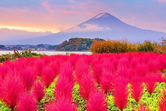 From Tokyo: Top 5 Scenic Spots of Mount Fuji Full-Day Tour - Morning Start: Tokyo Station Pickup and the Shinjuku Love Stop