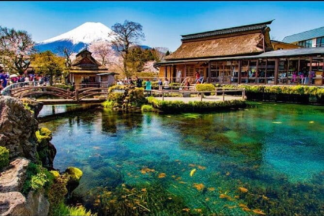 From Tokyo: Top 5 Scenic Spots of Mount Fuji Full-Day Tour - Oshino Hakkai Springs: Calm Water Views and a Complimentary Grass Cake