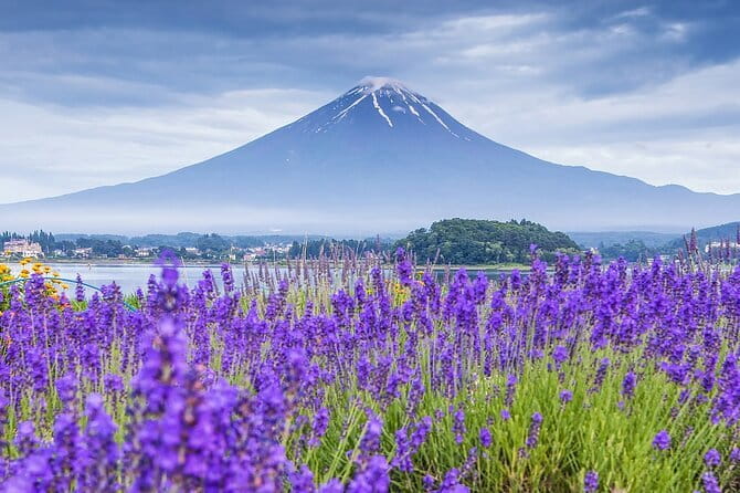 From Tokyo: Top 5 Scenic Spots of Mount Fuji Full-Day Tour - Arakurayama Sengen Park: Pagoda Views and That “Layered Fuji” Feeling