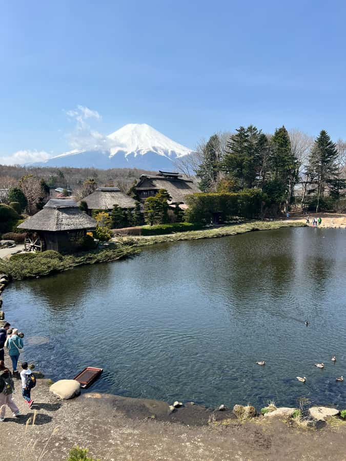 From Tokyo/Yokohama: Mount Fuji and Hakone Private Day Trip - The Hakone turn: volcanic scenery, Owakudani by cable car, and onsen-country vibes