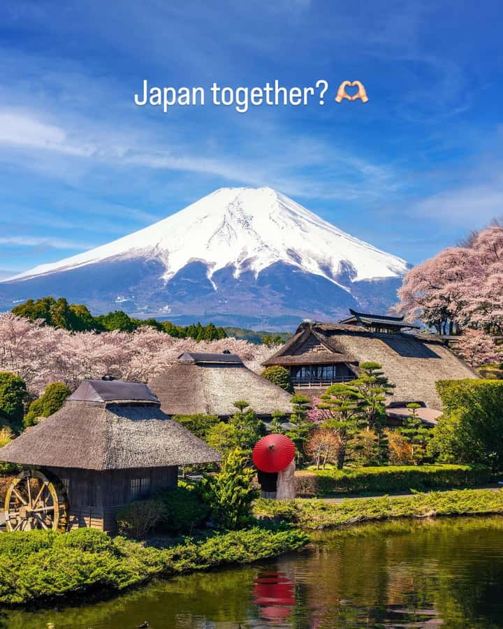 From Tokyo/Yokohama: Mt.Fuji & Hakone Private Day Tour - Private Charter From Tokyo: The Real Benefit Is Control