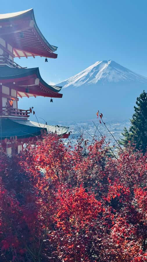 From Tokyo/Yokohama: Mt.Fuji & Hakone Private Day Tour - Hakone Day Option: Lake Ashi, Pirate Cruise, Owakudani Ropeway