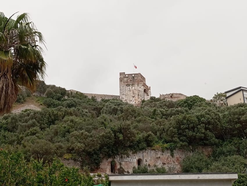 From Torremolinos: Day Trip to Gibraltar - 5 hours in Gibraltar: how to spend it without rushing yourself