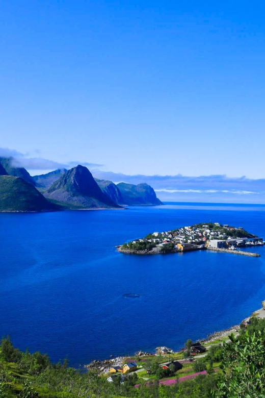 From Tromsø:(Chinese)Senja Day Trip - Price and value: what $220 per person really buys