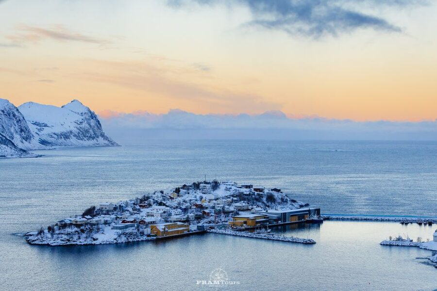 From Tromsø: Senja Discovery Arctic Day Trip with Lunch - The Tromsø-to-Arctic Road Trip That Actually Makes Sense