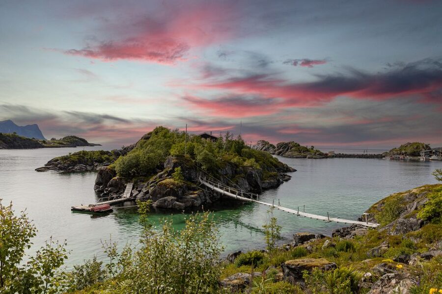 From Tromsø: Senja Discovery Arctic Day Trip with Lunch - Wildlife Chances: What You Should Look For