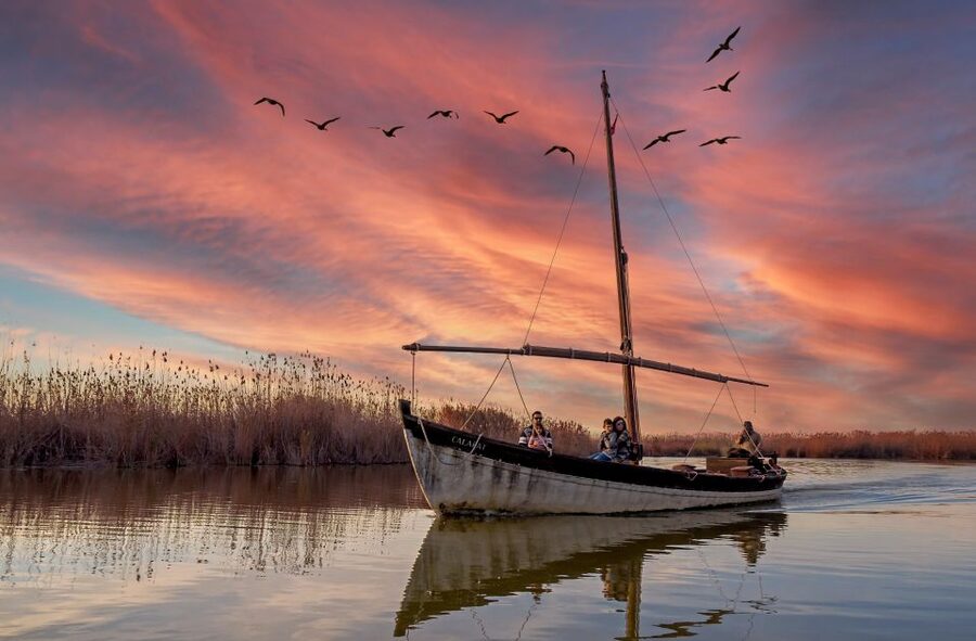 From Valencia: Albufera Day Trip with Boat Tour and Transfer - Key things that make this Albufera trip worth it