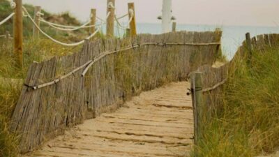 From Valencia: Albufera Day Trip with Boat Tour and Transfer - From Valencia to El Saler dunes: salty air and big viewpoints