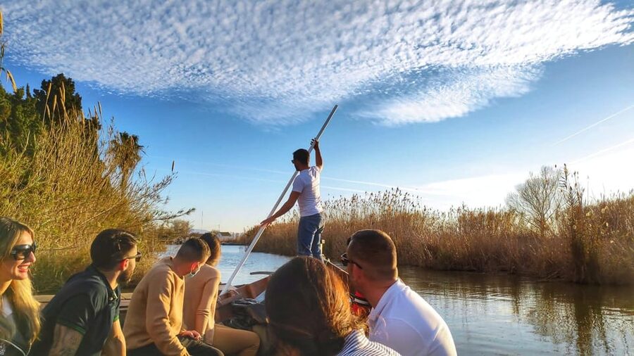 From Valencia: Albufera Day Trip with Boat Tour and Transfer - The lagoon boat tour: calm water, wildlife, and sunset timing