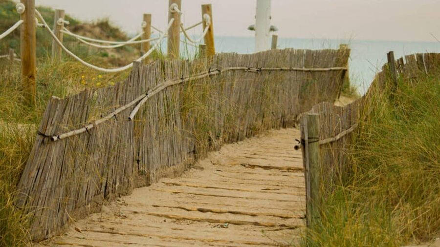 From Valencia: Albufera Day Trip with Boat Tour and Transfer - Albufera Natural Park stops: birds, flora, and how Valencia shaped the reserve