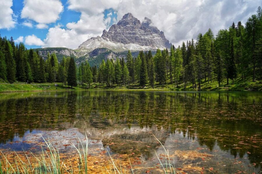 From Venice: Dolomites Day Trip - Pieve di Cadore and the first viewpoint break