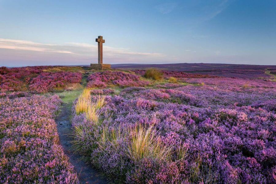 From York: Day Trip to Whitby and The North York Moors - Key highlights you’ll notice right away