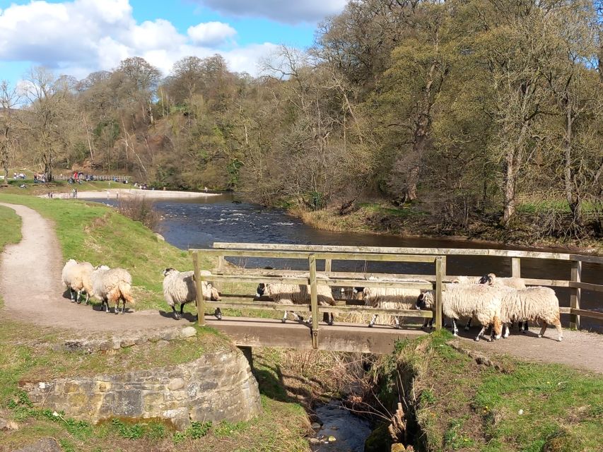 From York: Herriot and Yorkshire Dales Day Trip - York Minster meet-up and the pace of an 8-hour loop